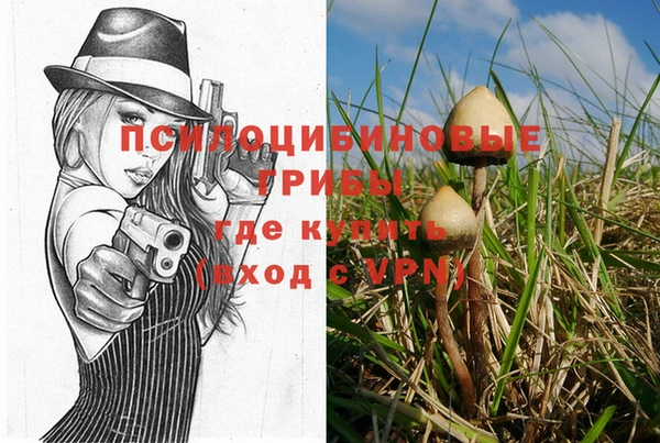 гидра Магас