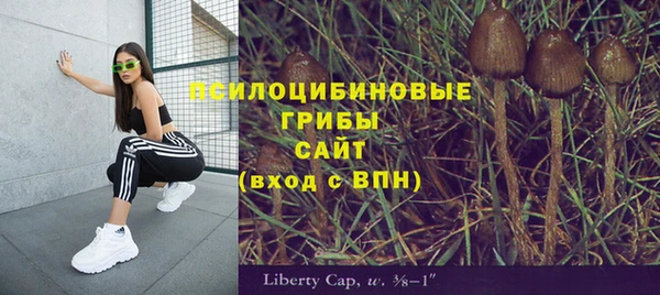 соль курить ск Медвежьегорск