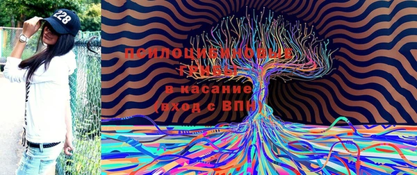 меф Медногорск