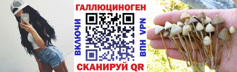 Галлюциногенные грибы GOLDEN TEACHER  Урюпинск 